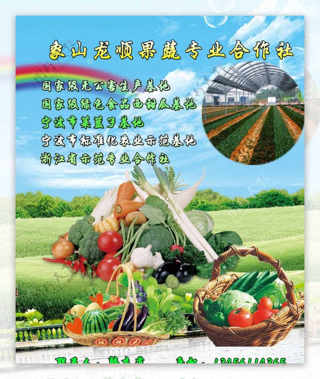 绿色有机农产品展板设计指南与文案范例